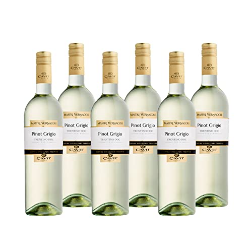 Pinot Grigio Trentino DOC "Mastri Vernacoli" Weißwein Trentin trocken (6 x 0.75l) von Cavit