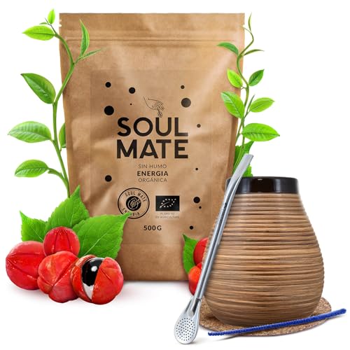 Verde Mate Green Frutos Tropicales Mate Tee Set mit Zubehör | Fruit Mate Tee | Calabash, Bombilla und Zubehör | Natürliches Koffein | Brasilianische Mate Tee | 500g | 0,5kg von Cebador