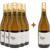 Batlliu de Sort 2020 Aktionspaket 5+1 Biu Riesling Costers del Segre DO von Celler Batlliu de Sort