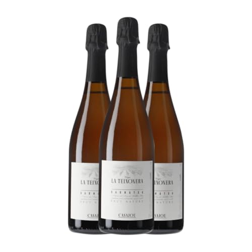 Casajou La Teixonera Grenache Brut Natur Penedès 75 cl Weißwein (Karton mit 3 Flaschen von 75 cl) von Celler Casajou