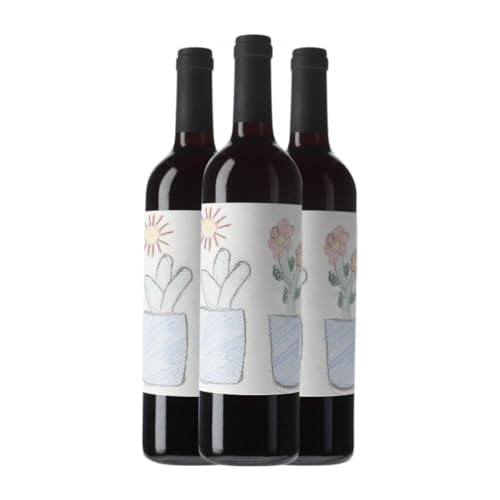 Masroig Vi Solidari Montsant 75 cl Rotwein (Karton mit 3 Flaschen von 75 cl) von Celler Masroig