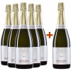 Centinari  5+1 Paket Centinari Franciacorta DOCG von Centinari