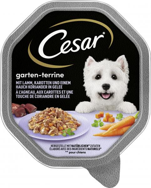 Cesar Garten-Terrine mit Lamm, Karotten und Koriander in Gelee von Cesar