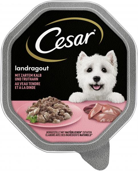 Cesar Landragout mit Kalb und Truthahn von Cesar