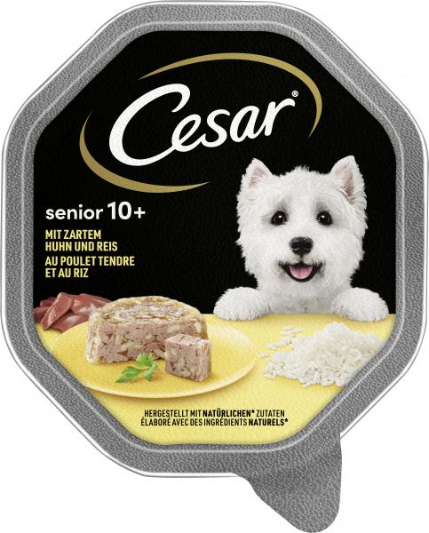 Cesar Senior 10+ mit Huhn & Reis von Cesar