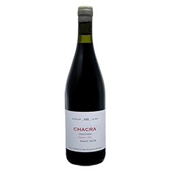 Chacra : Treinta y Dos Pinot Noir 2022 von Chacra