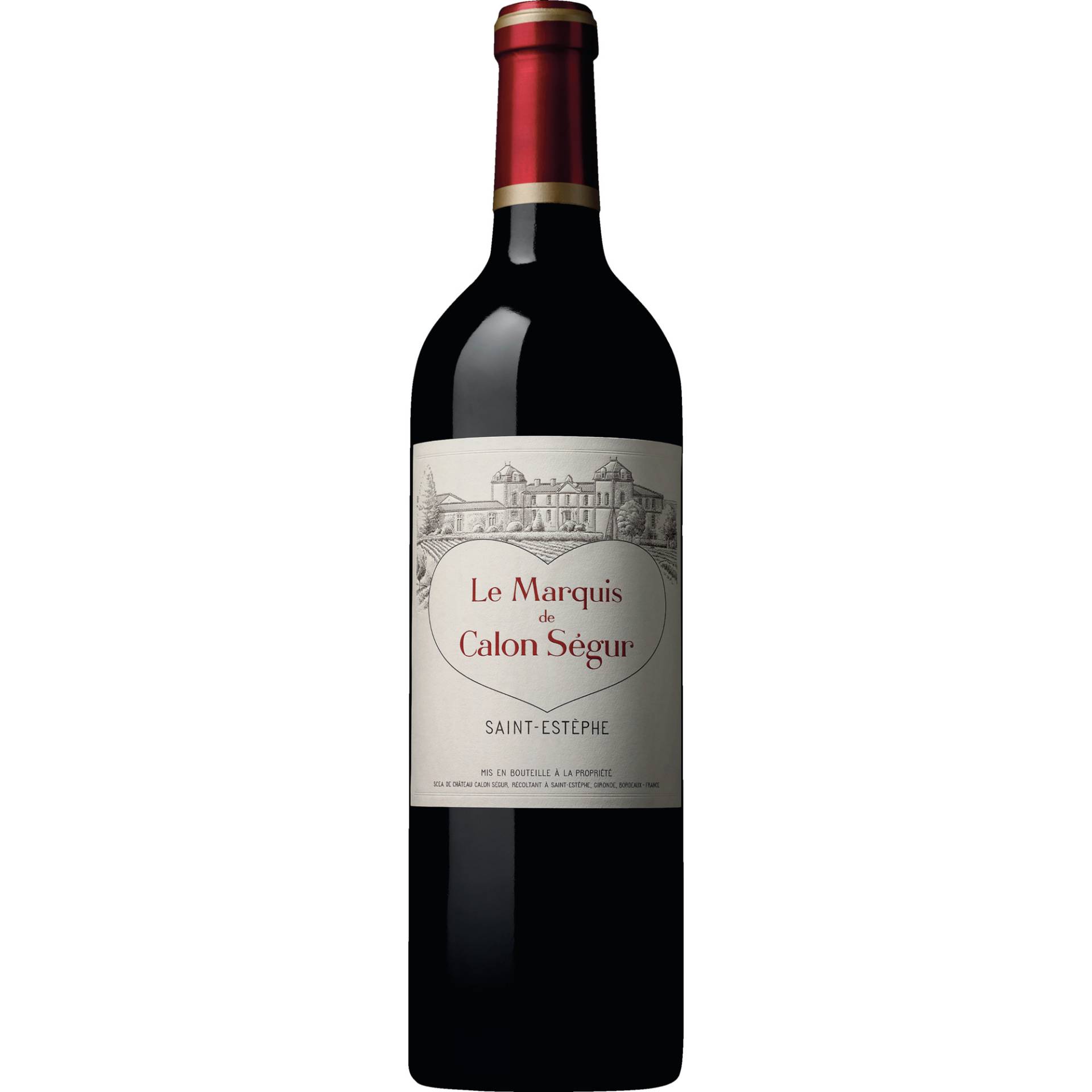 Le Marquis de Calon Ségur, Saint-Estèphe AOP, Magnum, Bordeaux, 2022, Rotwein von Château Calon Sègur, 33180 Saint-Estèphe, France