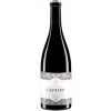 Château Capion 2017 Château Capion Terrasses du Larzac AOP trocken von Château Capion