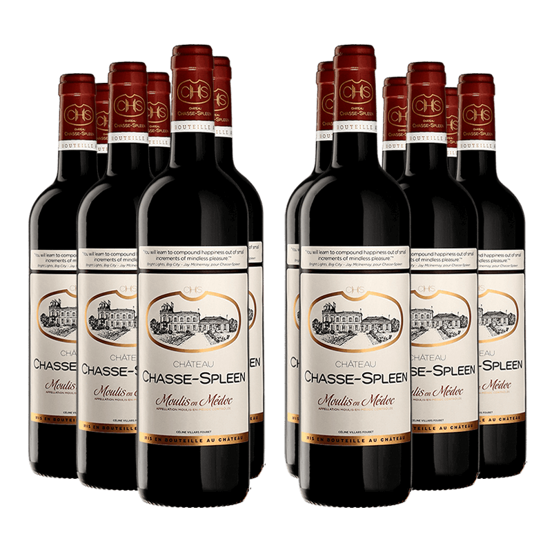 Château Chasse-Spleen 2019 von Château Chasse-Spleen