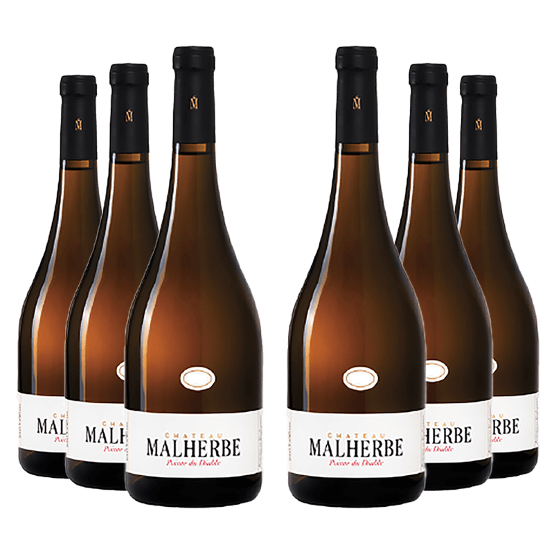 Château Malherbe : Pointe du Diable Blanc 2022 von Château Malherbe