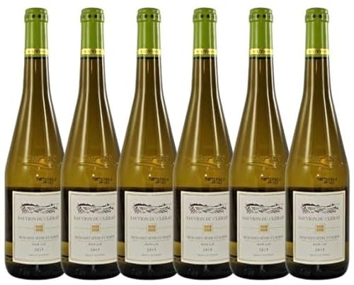 6 x Sauvion du Cléray Muscadet Sèvre et Maine AOP Sur Lie 2021 von Château du Cléray im Sparpack (6x0,75l), trockener Weisswein von der Loire von Château du Cléray