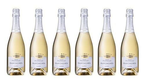 6x 0,75l - Chiara Ziliani - Conte di Provaglio - Brut - Franciacorta D.O.C.G. - Lombardei - Italien - Schaumwein trocken von Chiara Ziliani