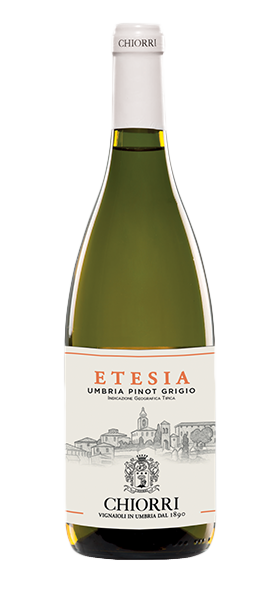 "Etesia" Umbria Pinot Grigio IGT 2024 von Chiorri