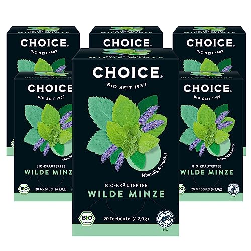 CHOICE - Wilde Minze, Bio-Minze- und -Kräuterteemischung, Lebendig und Munter, Handverlesen, 6x20 Teebeutel (120 Beutel insgesamt) von Choice