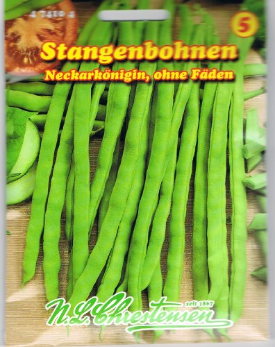 Stangenbohnen Neckarkönigin, ohne Fäden von Chrestensen