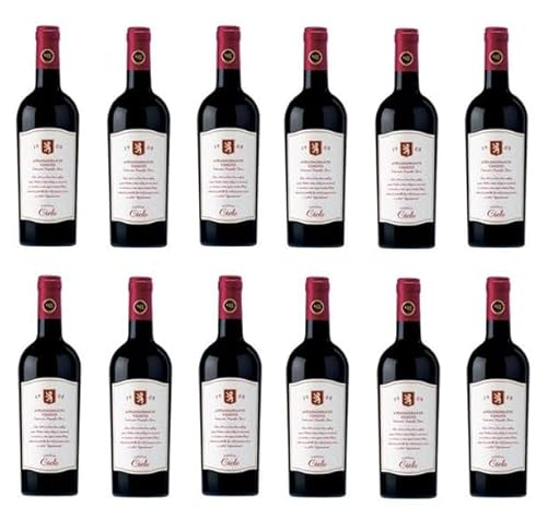 12x 0,75l - Cielo - Appassionante - Rosso - Veneto I.G.P. - Italien - Rotwein trocken von Cielo