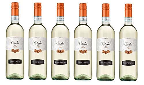 6x 1,5l - 2023er - Cielo - Pinot Grigio - MAGNUM - Veneto D.O.P. - Italien - Weißwein trocken von Cielo