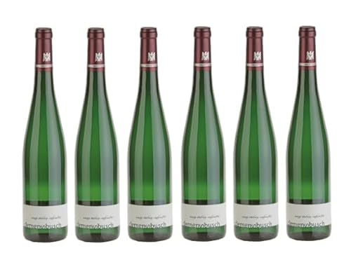 6x 0,75l - 2023er - Clemens Busch - Riesling vom roten Schiefer - Qualitätswein Mosel - Deutschland - Weißwein trocken von Clemens Busch