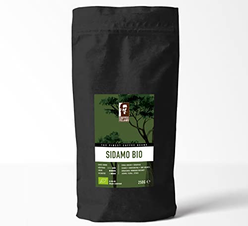 Coffee Fellows Sidamo Bio Kaffee | ganze Kaffee Bohnen | 100% Arabica Spezialitätenkaffee | Single Origin (1kg) von Coffee Fellows