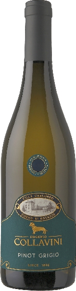 Collavini Eugenio Villa Canlungo Pinot Grigio Collio DOC Jg. 2022