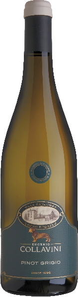 Collavini Eugenio Villa Canlungo Pinot Grigio Collio DOC Jg. 2022