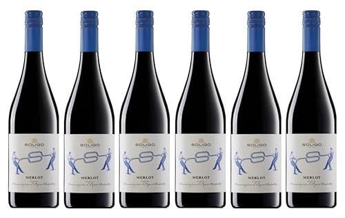 6x 0,75l - Cantina Colli del Soligo - Merlot del Piave D.O.P. - Veneto - Italien - Rotwein trocken von Colli del Soligo