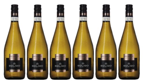 6x 0,75l - Colli del Soligo - Prosecco Frizzante - extra dry - Prosecco D.O.P. - Veneto - Italien - Perlwein extra dry von Colli del Soligo