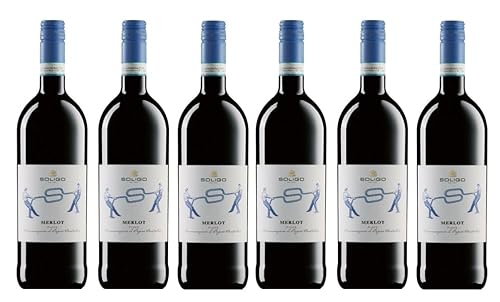 6x 1,0l - Cantina Colli del Soligo - Merlot del Piave D.O.P. - LITER - Veneto - Italien - Rotwein trocken von Colli del Soligo