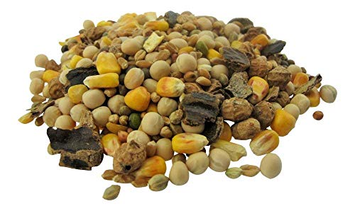 CommonBaits Big CARP Partikel Mix 25Kg von CommonBaits