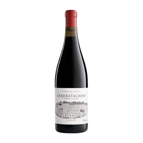 Telmo Rodríguez Pegaso Arrebatacapas Grenache Tintorera Cebreros 75 cl Rotwein von Compañía de Vinos de Telmo Rodríguez