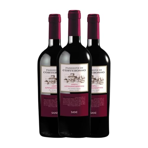 Contri Spumanti Appassimento Passito Negroamaro Salento 75 cl Rotwein (Karton mit 3 Flaschen von 75 cl) von Contri Spumanti