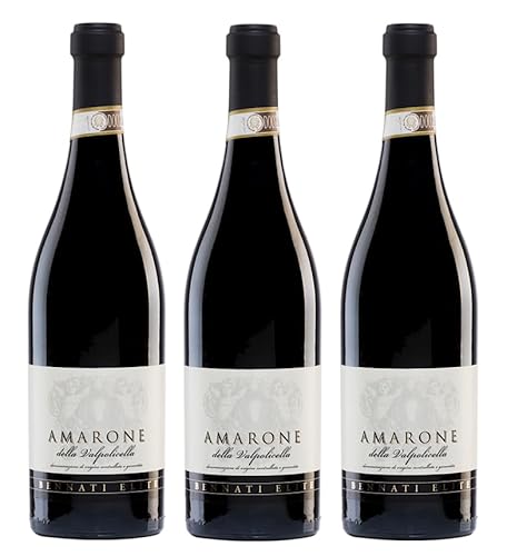 3x 0,75l - 2019er - Corte Pitora - Amarone della Valpolicella D.O.C.G. - Veneto - Italien - Rotwein trocken von Corte Pitora