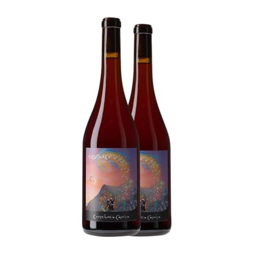 Còsmic Consciència Còsmica Carignan Empordà 75 cl Rotwein (Karton mit 2 Flaschen von 75 cl) von Còsmic Vinyaters