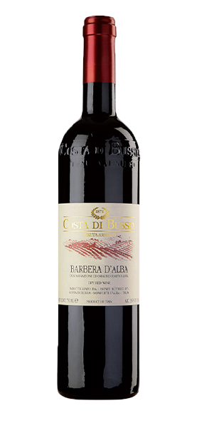 Barbera d'Alba DOC 2022 von Costa di Bussia