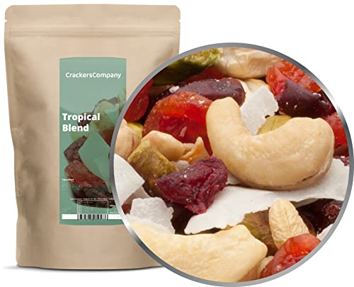 1 x 500g Studentenfutter Tropische Premium Nussmischung mit Cashew Kirsche Cranberry Pistazie Kokos ohne salzzusatz vegetarisch vegan glutenfrei laktosefrei von BFYSYO