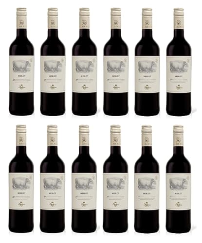 12x 0,75l - 2023er - Cramele Recas - Speis & Trank - Merlot - Rumänien - Rotwein trocken von Cramele Recas - Speis & Trank