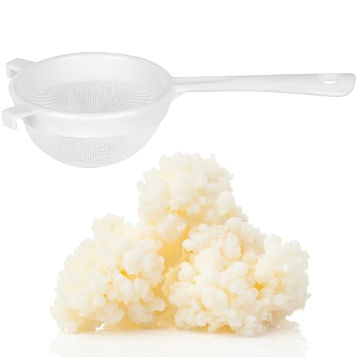 Curly Superfood Bio Kefirpilz Set - 10g Kefirknollen + Sieb - Echten Milchkefir einfach selber machen - Bio Kefirknollen 10g als Kefir Starterkulturen für leckeren Bio Kefir aus deutscher Herstellung von Curly Superfood