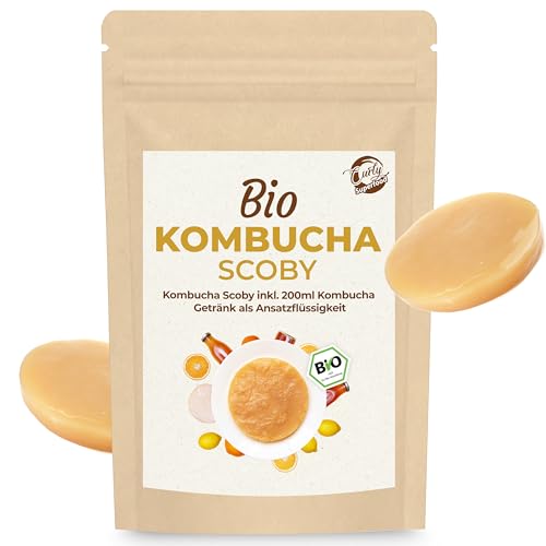 Curly Superfood Bio Kombucha Pilz aus deutscher Herstellung - Kombucha Tee einfach selbst herstellen mit vitalem Kombucha Scoby + 200ml Kombucha Getränk als Ansatzflüssigkeit von Curly Superfood