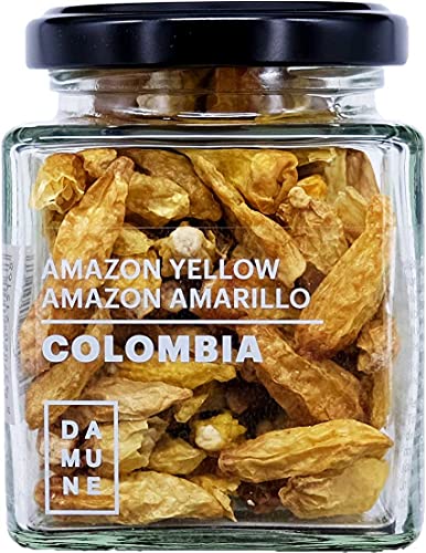 Tabasco Amazon Yellow Chili - Kolumbien - 35g von DAMUNE