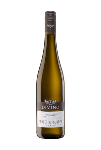 DIVINO JUVENTA Weißwein Grauer Burgunder trocken QbA 2023 (0,75 l) - Frankens Feine Weine von DIVINO