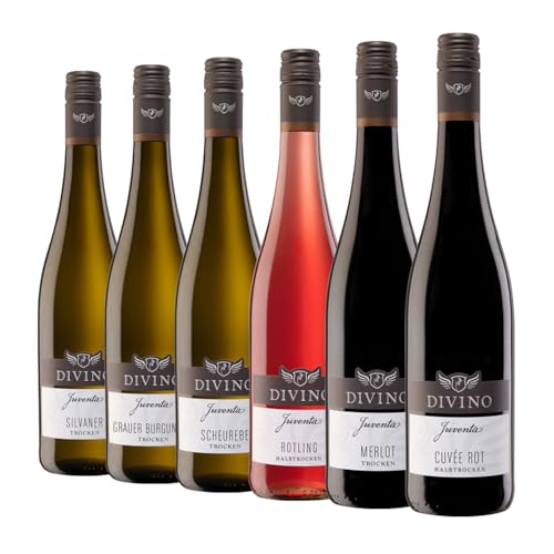 DIVINO Juventa Frankenwein Probierpaket - Silvaner, Grauer Burgunder, Scheurebe, Rotling, Merlot, Cuvée - Qualitätsweine direkt aus den Weinbergen Frankens (6 x 0,75l) von DIVINO