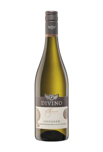 DIVINO Terroir Weißwein Silvaner trocken QbA 2023 (0,75 l) - Lage: Thüngersheimer Johannisberg - Frankens Feine Weine von DIVINO