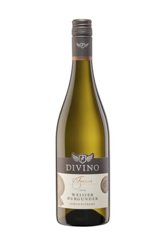 DIVINO Terroir Weißwein Weisser Burgunder trocken QbA 2022 (0,75 l) - Lage: Thüngersheimer Johannisberg - Frankens Feine Weine von DIVINO