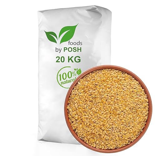 20kg Leinsamen Gold Leinsaat Gelb Musli Backen 20 kg von DTP-SOFT