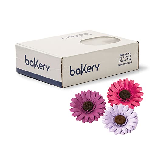 Decora 0500287 PAKETE 12 GERBERA/GLYZINIEN/FUCHSIE/LILA von Decora