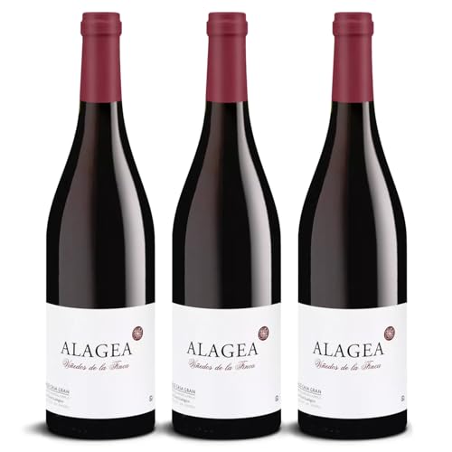 DELINAT – Alagea 2022 – Spanischer Rotwein trocken – Bio-Wein aus Valencia, vegan (3 x 0,75l) von Delinat