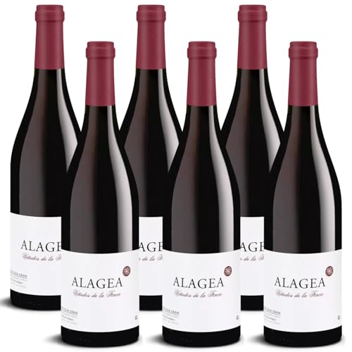 DELINAT – Alagea 2022 – Spanischer Rotwein trocken – Bio-Wein aus Valencia, vegan (6 x 0,75l) von Delinat