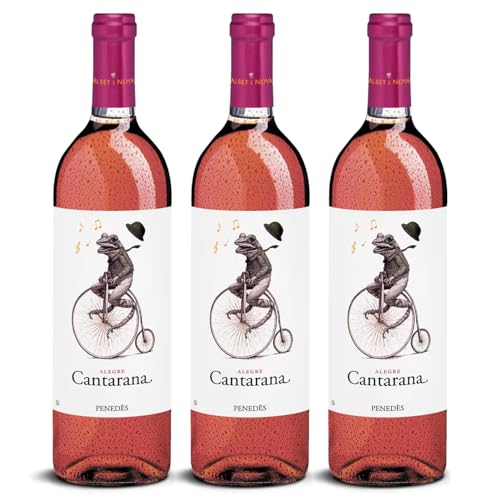 DELINAT – Albet i Noya Cantarana 2023 – Spanischer Roséwein trocken – Bio-Wein aus Penedès, vegan (3 x 0,75l) von Delinat