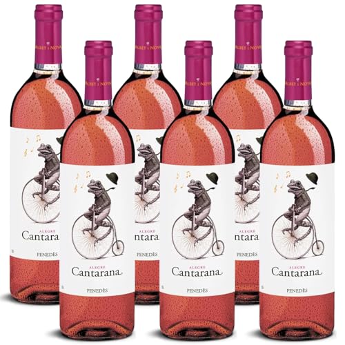 DELINAT – Albet i Noya Cantarana 2023 – Spanischer Roséwein trocken – Bio-Wein aus Penedès, vegan (6 x 0,75l) von Delinat