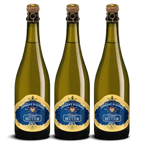 DELINAT – Domaine Meyer Crémant d'Alsace 2021 – Französischer Schaumwein extra herb – Bio-Wein aus dem Elsass, vegan (3 x 0,75l) von Delinat